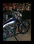 Custombike 2011 (8)